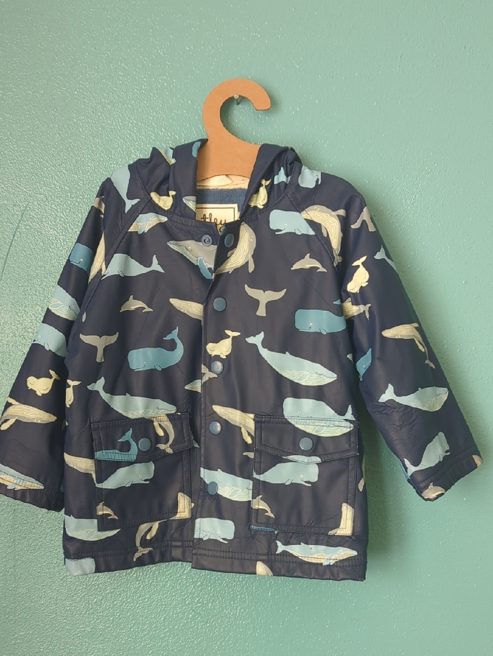 Hatley Navy Whale Print Hooded Raincoat